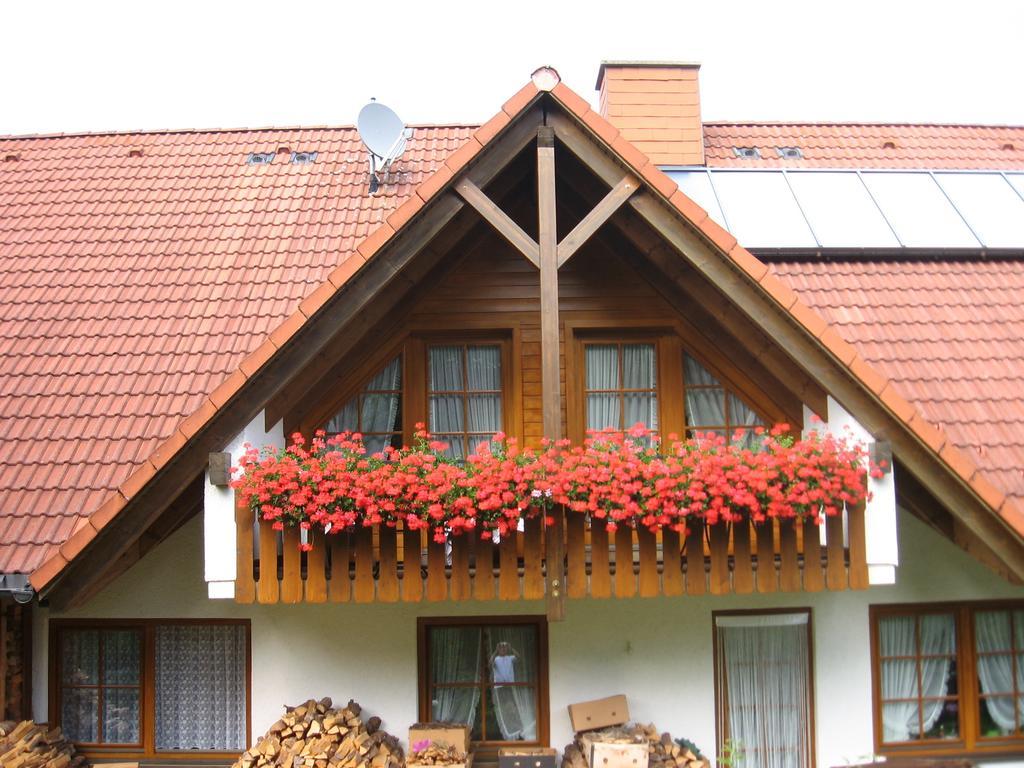 Gaestehaus Faller Feldberg (Baden-Wurttemberg) Exterior foto
